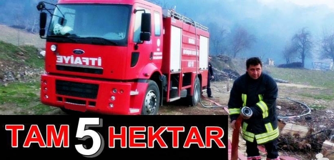 5 Hektar Yandı