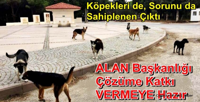 Barınak İçin Düğmeye Basıldı