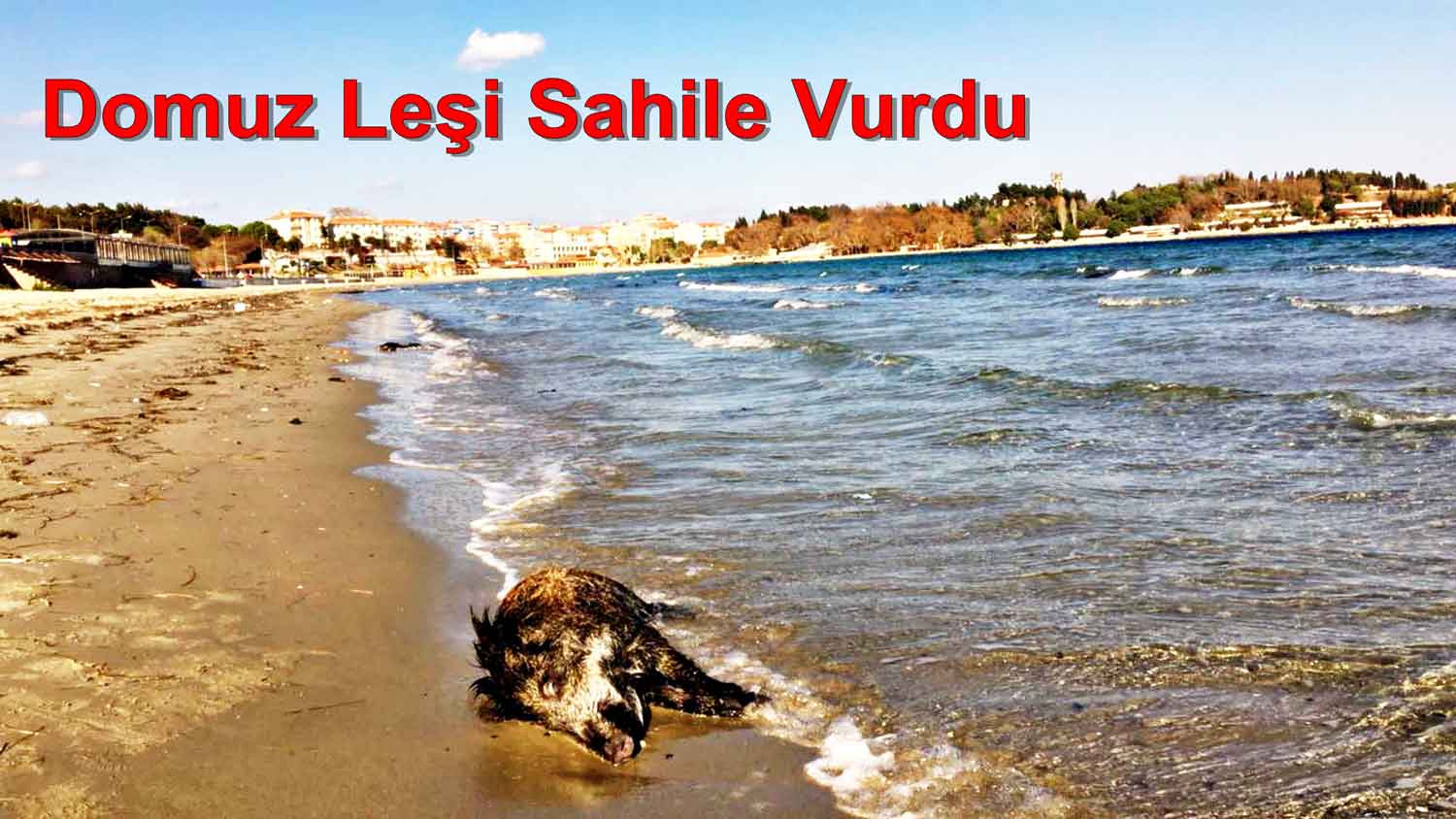 Denizde Boğulmuş