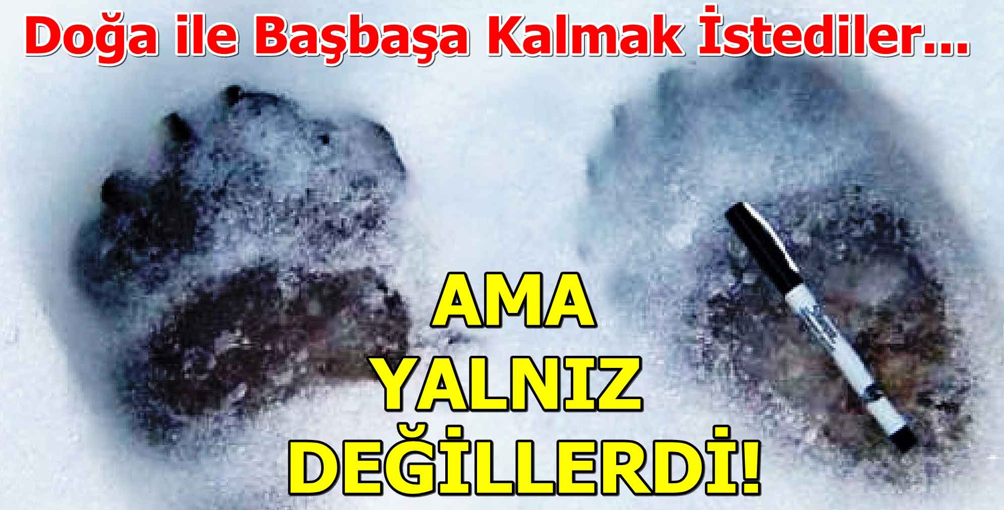 Fark Ettiklerinde Çoktan Gitmişti..!