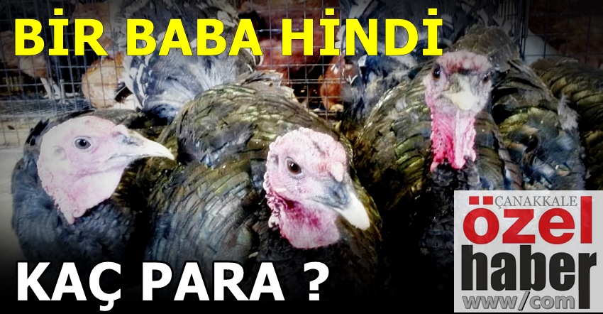 HİNDİLER PAZARA ÇIKTI