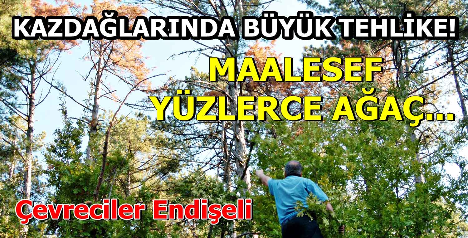 Kazdağları Kuruyor..!
