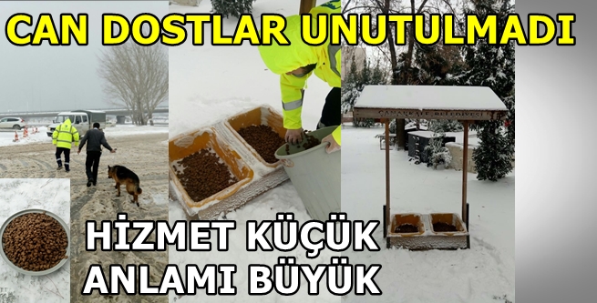 CAN DOSTLARI UNUTMADILAR