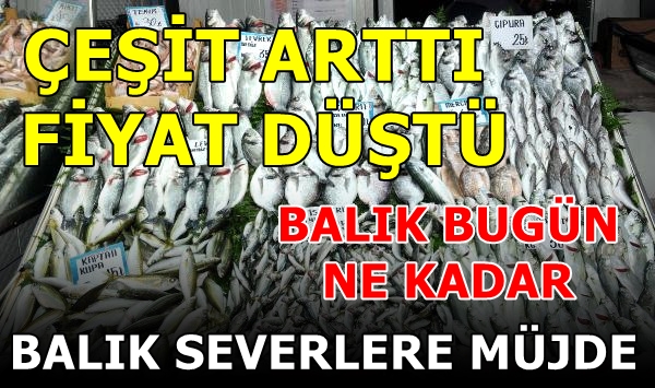 HAVALAR ISINDI BÖYLE OLDU