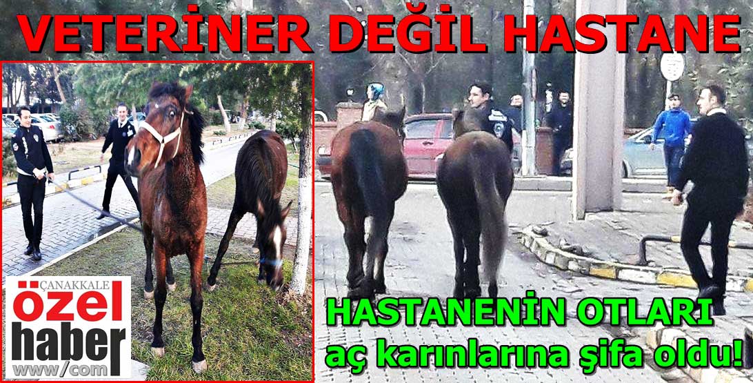 Hastaneden ATtılar..!