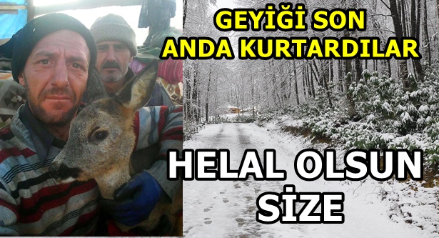 SON ANDA KURTARDILAR