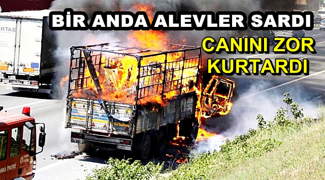 UCUZ KURTULDULAR