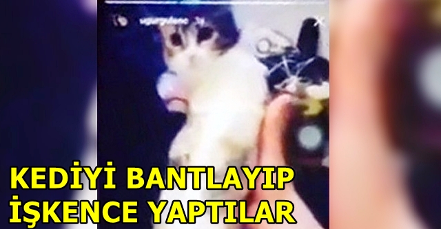 HAYVANSEVERLER AYAĞA KALKTI