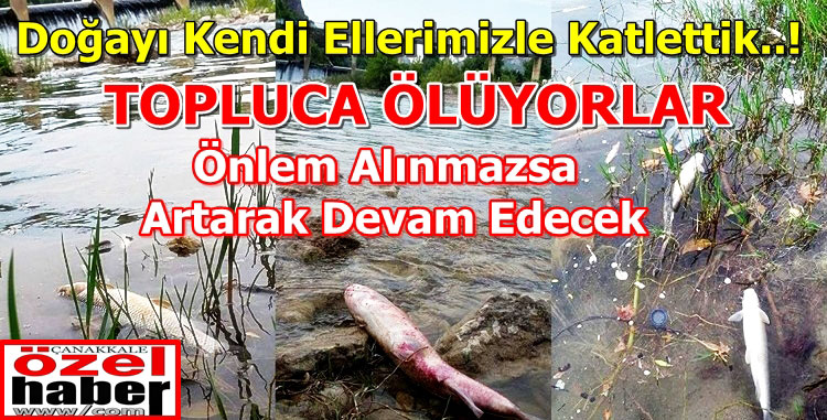 KATİLLERİ BİZİZ..!