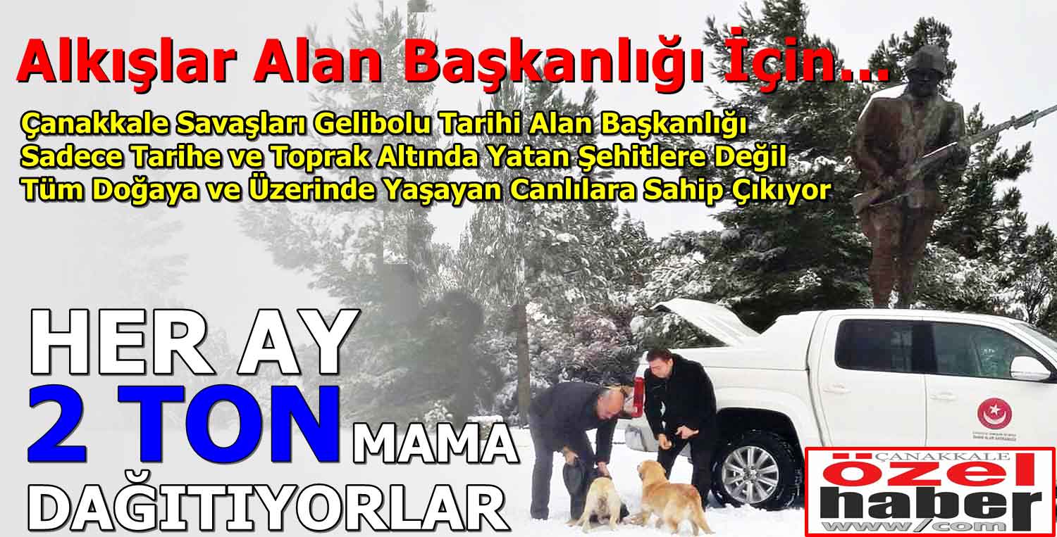 Alan Başkanlığı Doğaya Can Veriyor