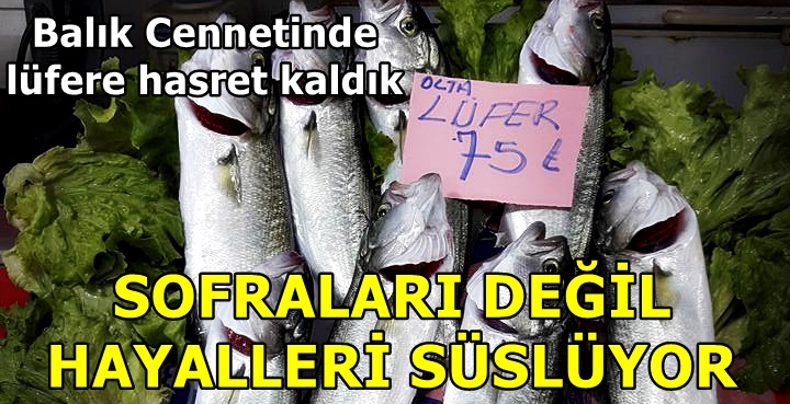 LÜFER TEZGAHTA GÜZEL