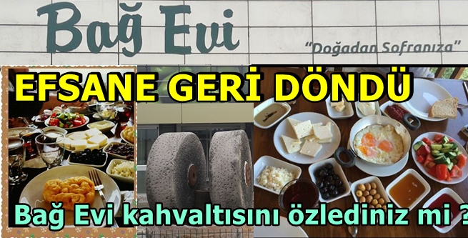 ADI MARKA TADI BAŞKA