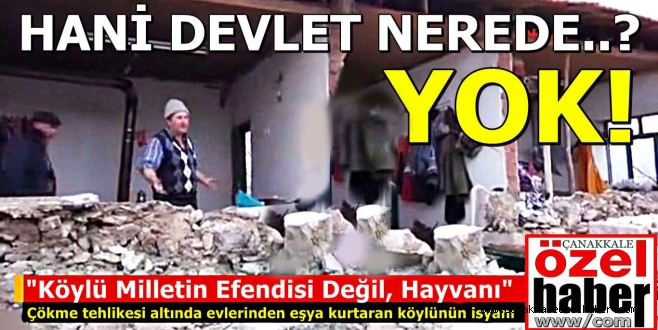 HAYVAN KADAR DEĞERİMİZ YOK..!