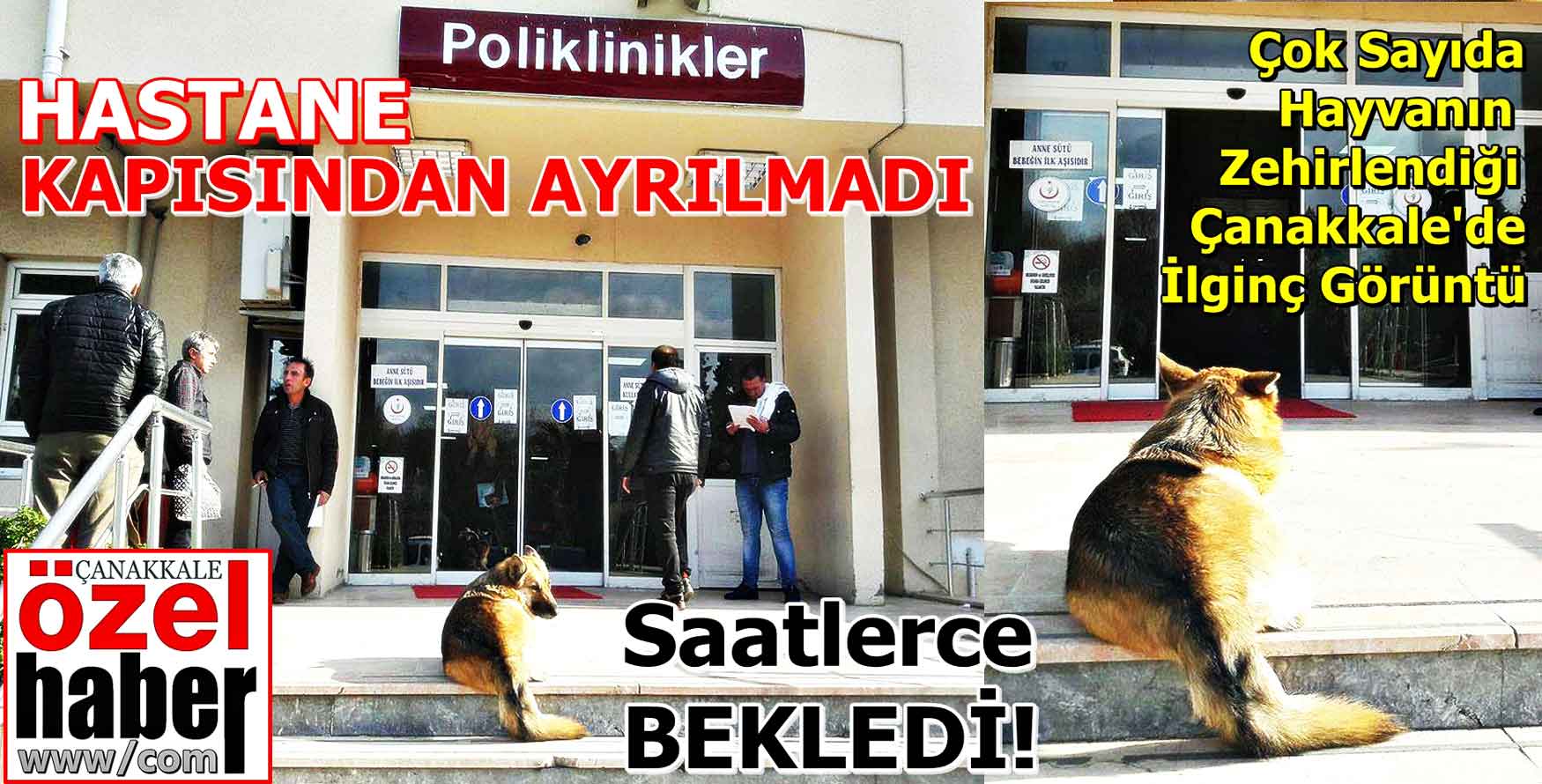 İnsan Gibi Hastaneye Koştu..!