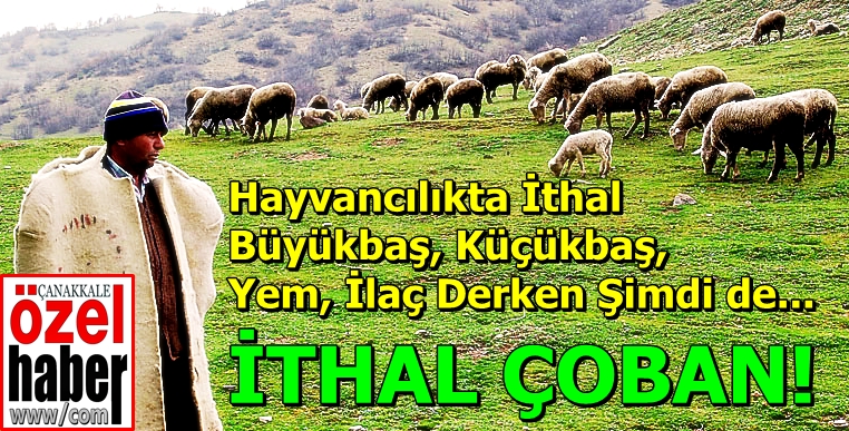 Afgan Yetmez Suriyeli de Olsun..!