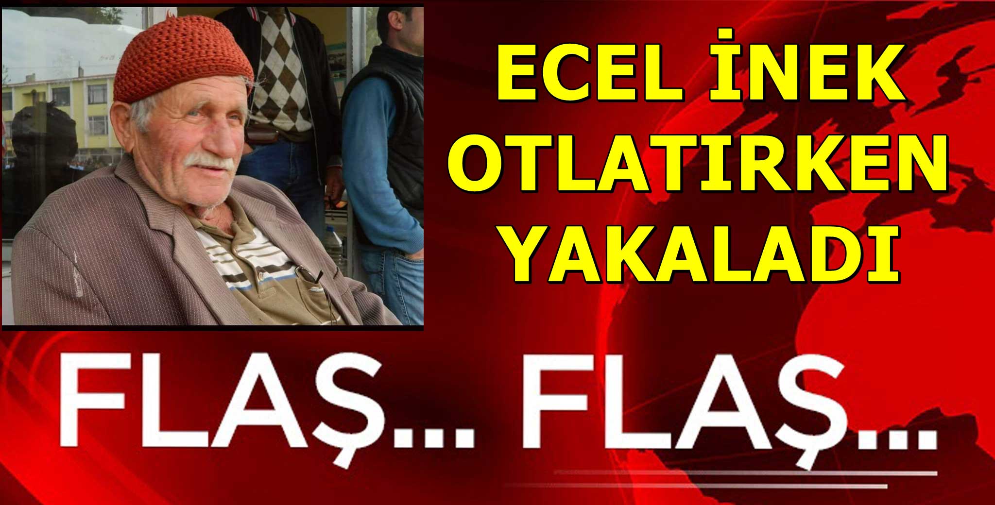 İNEKLERİNİN YANINDA CAN VERDİ