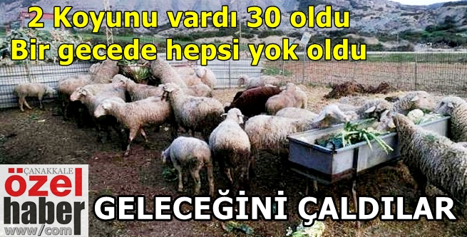 GELECEĞİM DE HAYALLERİM DE ÇALINDI