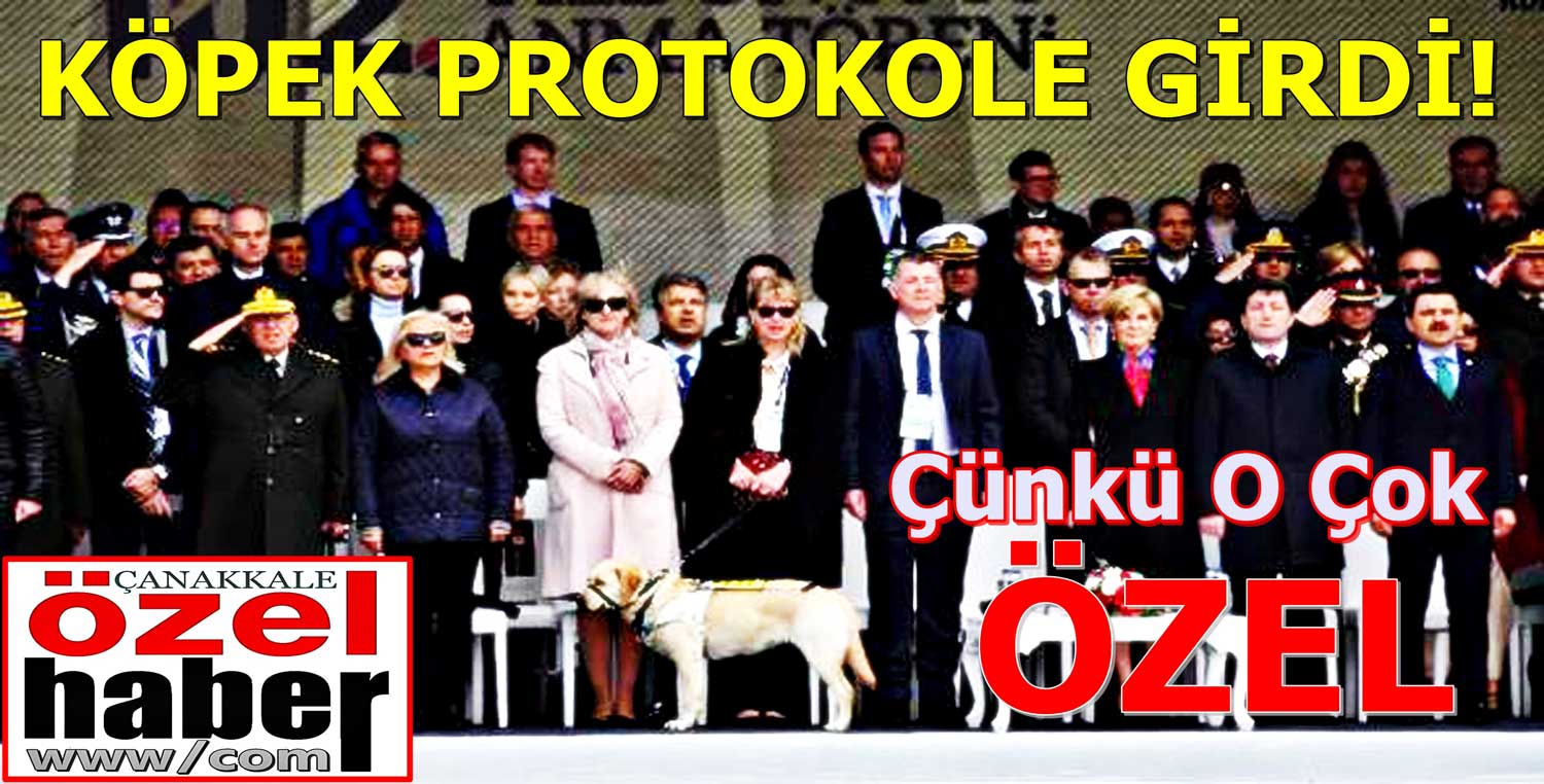 AKREDİTASYON KARTI BİLE VAR!