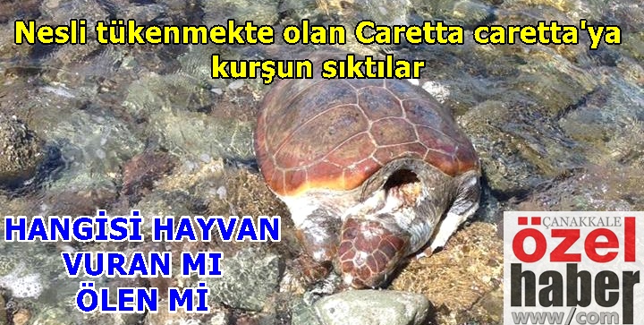 BUNU YAPAN İNSAN OLAMAZ