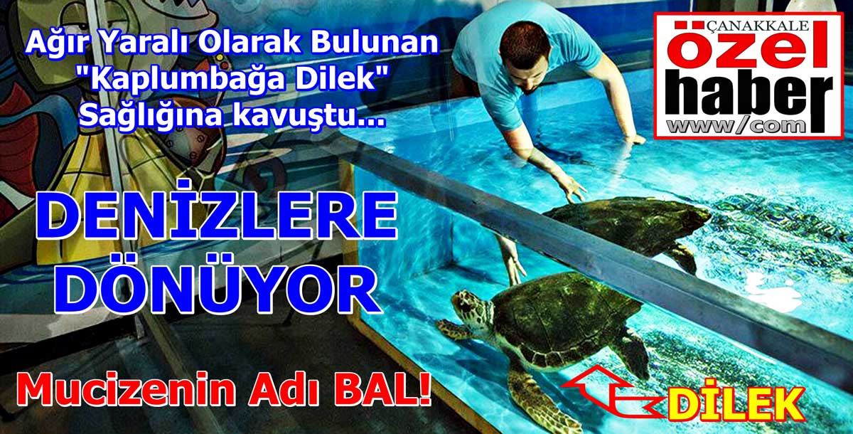 DİLEK’İN DİLEĞİ KABUL OLDU..!