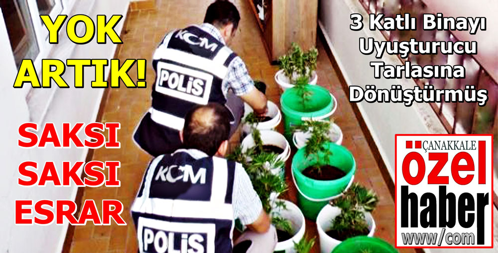 USLANMAMIŞ ARSIZLAŞMIŞ..!