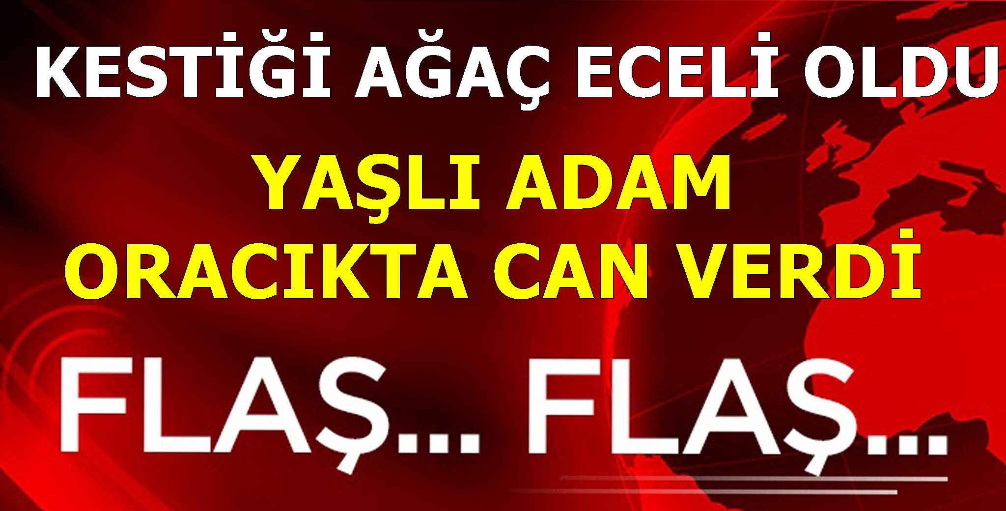 KESTİĞİ AĞACIN ALTINDA KALDI