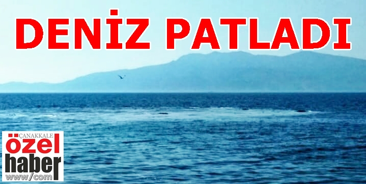 DEPREM HABERCİSİ Mİ?