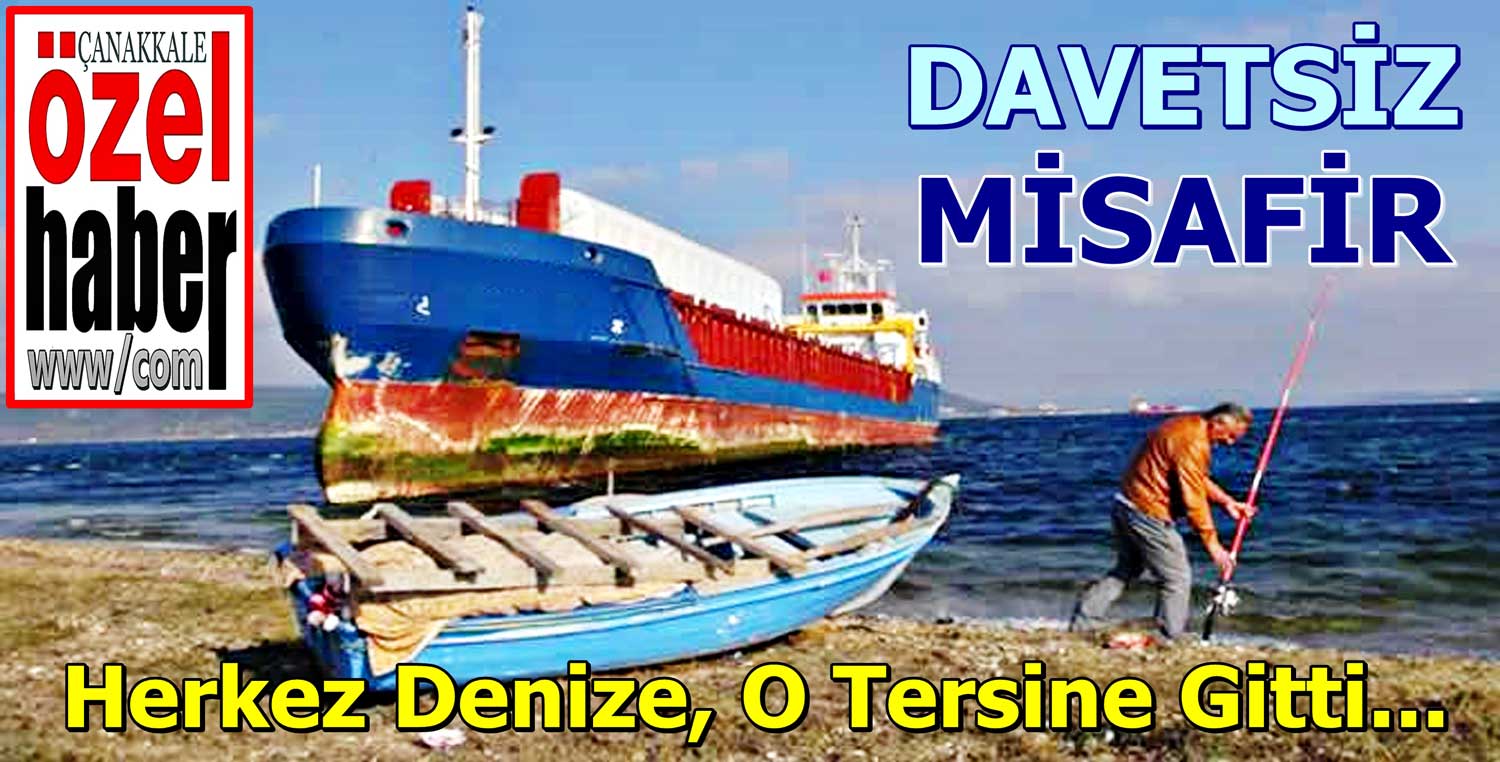 TATİLCİLER GÖZLERİNE İNANAMADI..!