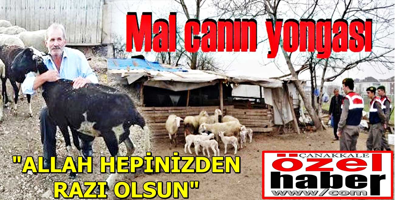 ÇANAKKALE’DEN ÇALINDI BAKIN NEREDE BULUNDU