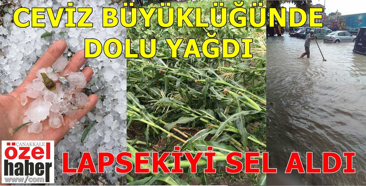 DOLU DOLU YAĞDI