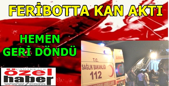 BİR DENİZ MAGANDASI EKSİKTİ