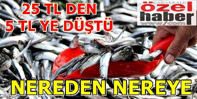 ŞİMDİ BALIK ZAMANI