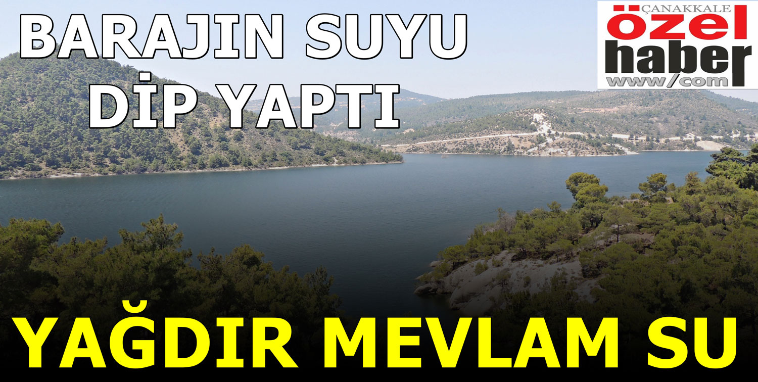 BİR YIL DAYANABİLİRİZ