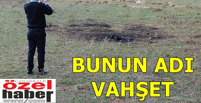 BUNU YAPAN İNSAN OLAMAZ