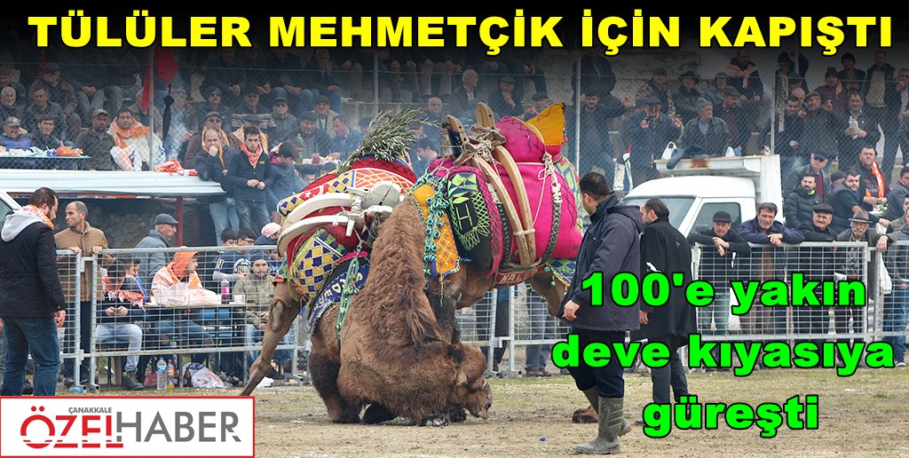EN HAYIRLI GÜREŞ