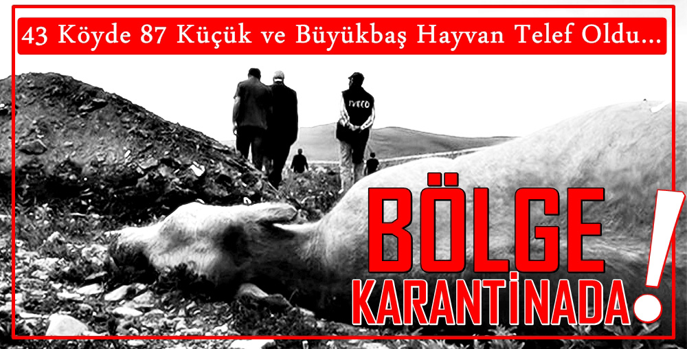 ÇANAKKALE TEYAKKUZA GEÇTİ..!