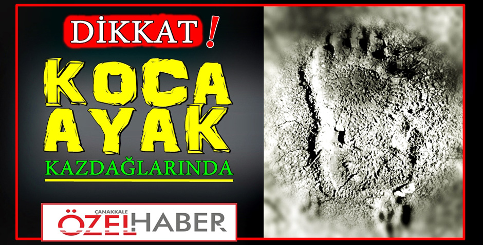 ORMANDA BİR DEV GEZİYOR..!