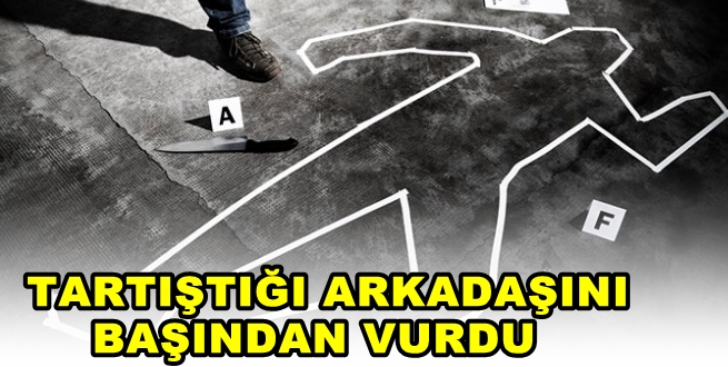 CİNAYET VAR!