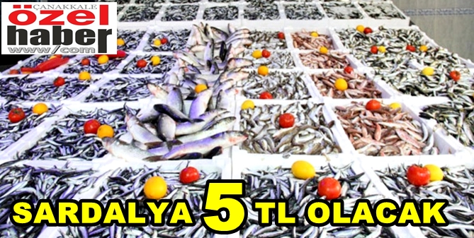 BALIĞA DOYACAĞIZ