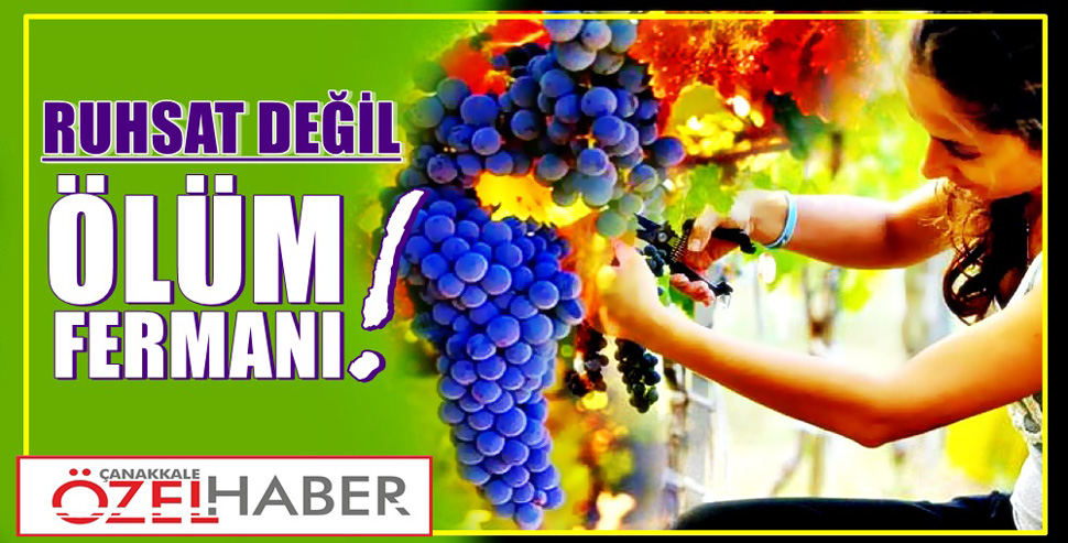 BOZCAADA KARIŞTI..!