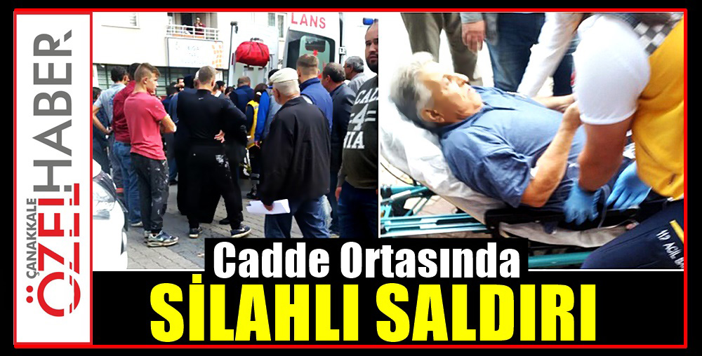 YOLDAN GEÇEN VATANDAŞI DA VURDU..!