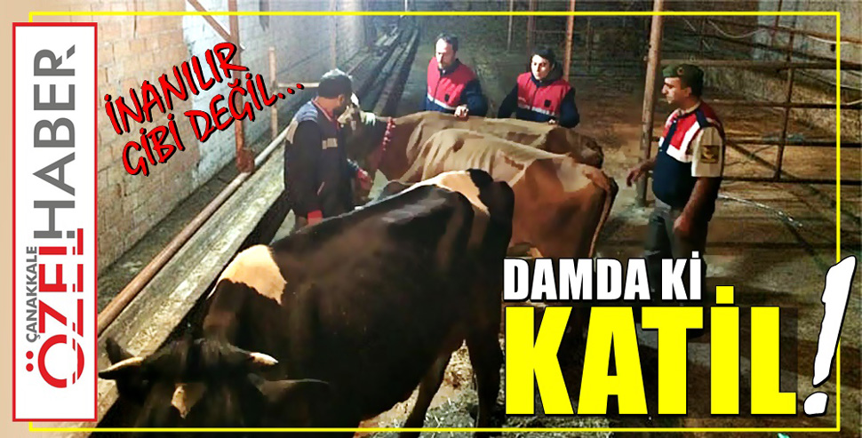 ÖLÜMÜN BÖYLESİ..!