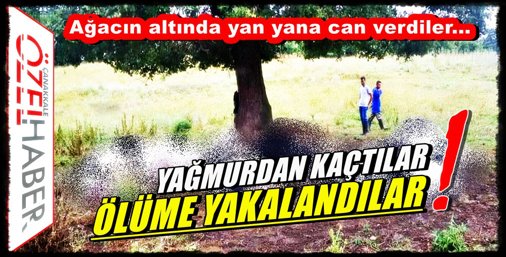 YILDIRIM FACİASI..!
