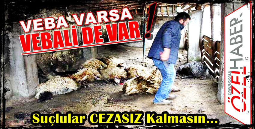 GİZLEYENLER DE NEDEN OLANLAR KADAR SUÇLU..!