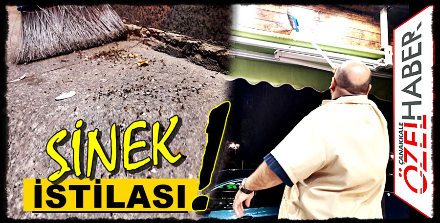 ÇANAKKALE’Yİ SİNEKLER BASTI..!