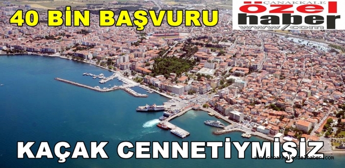 DEVLETLE BARIŞTILAR