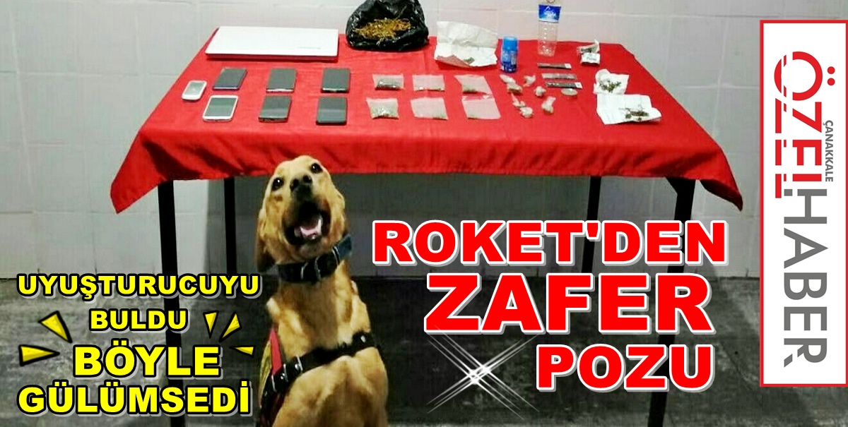 UYUŞTURAMAYACAKSINIZ…!