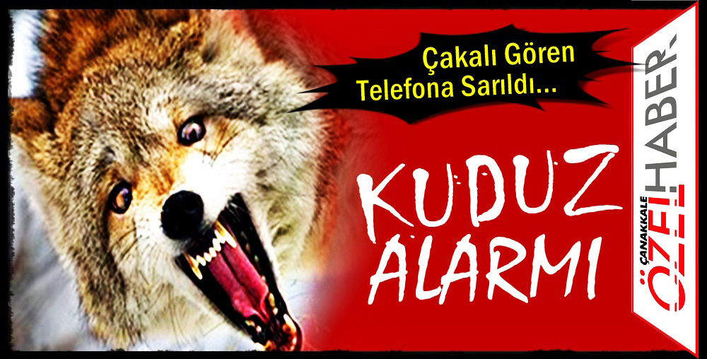 YETKİLİLER DERHAL HAREKETE GEÇTİ..!