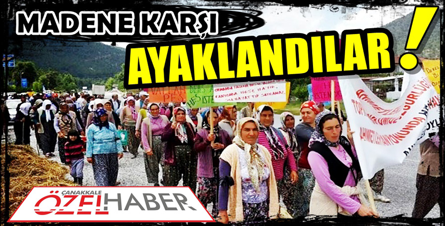 YAŞAM HAKLARINA SAHİP ÇIKTILAR..!