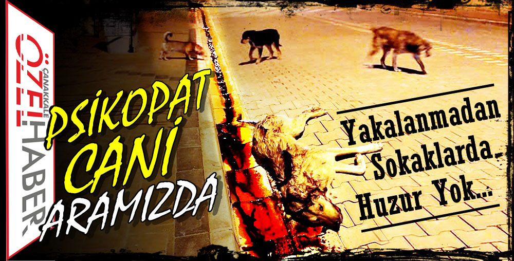 ELİNDE SİLAH RASTGELE CAN ALIYOR..!